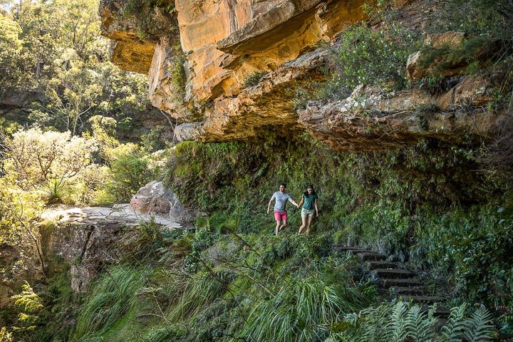 Private Guided: Blue Mountains Hiking & Nature Tour - thumb 2