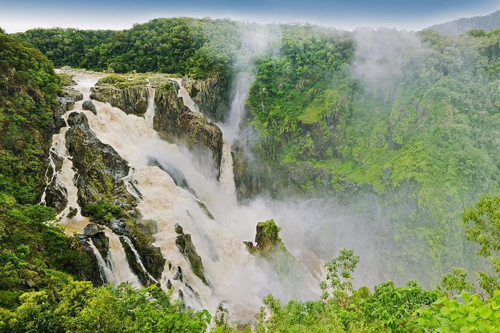 Private Half Day Tour: Exclusive World Heritage Rainforest And Waterfall Tour From Cairns - thumb 1