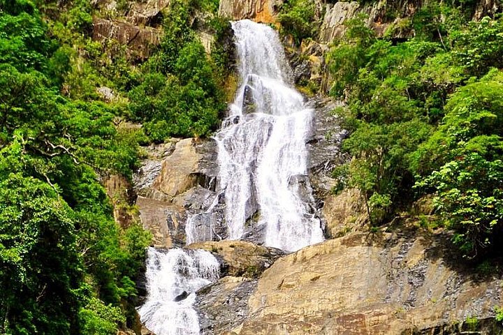 Private Half Day Tour: Exclusive World Heritage Rainforest And Waterfall Tour From Cairns - thumb 4