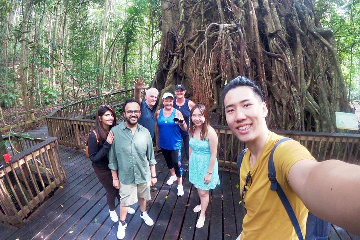 Private Half Day Tour: Exclusive World Heritage Rainforest And Waterfall Tour From Cairns - thumb 5