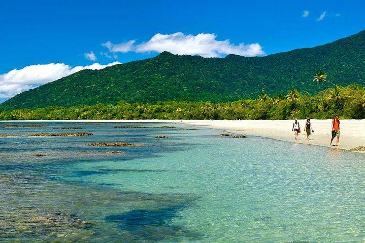 5-Day Best of Cairns with Daintree Kuranda and Great Barrier Reef - Accommodation Gold Coast