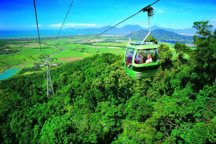 5-Day Best Of Cairns With Daintree, Kuranda, And Great Barrier Reef - Accommodation Hamilton Island 2