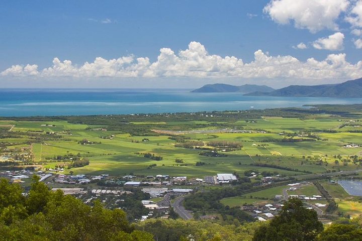 3-Day Best Of Cairns Combo: The Daintree Rainforest, Great Barrier Reef, And Kuranda - thumb 3
