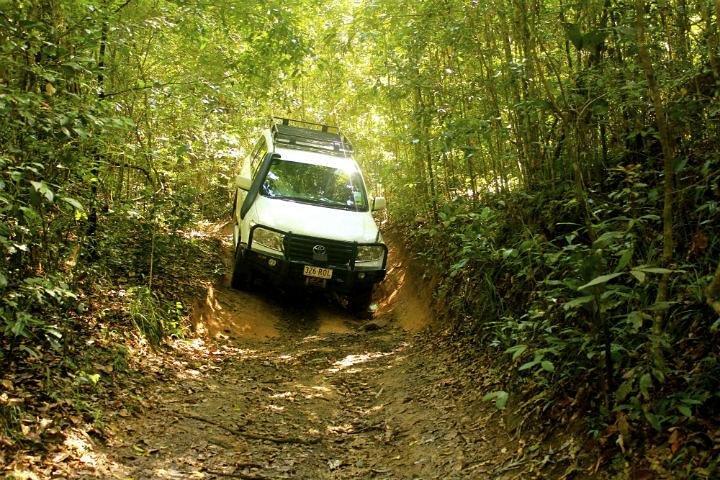 Barron Gorge And Kuranda National Park Half Day Rainforest And Waterfall 4WD Tour From Cairns - thumb 2