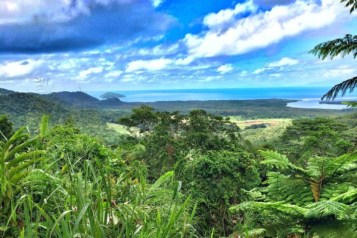 Private Daintree National Park Day Tour From Cairns Including Cape Tribulation And Mossman Gorge - thumb 2