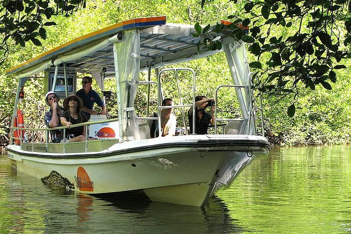 Private Daintree National Park Day Tour From Cairns Including Cape Tribulation And Mossman Gorge - thumb 5