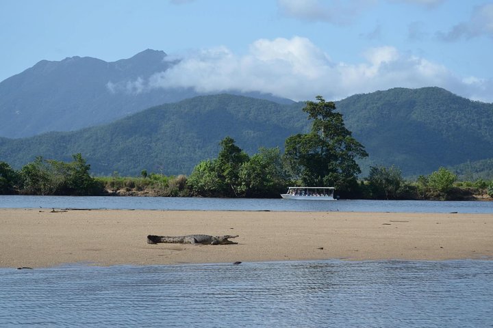 Afternoon Half-Day Daintree Rainforest And River Tour - thumb 2