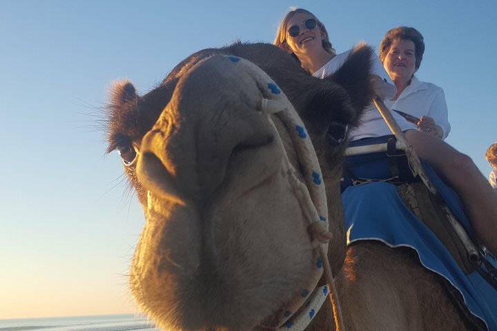 1 Hour Broome Sunset Camel Tour - Kalgoorlie Accommodation 4