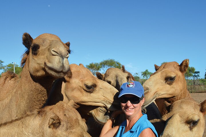Broome Pre-sunset Camel Tour 30 Minutes - Kalgoorlie Accommodation 0