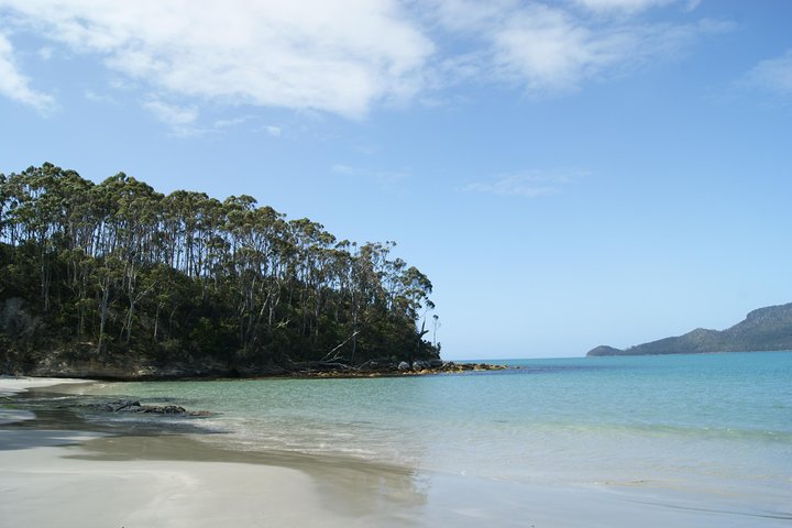 Bruny Island Day Trip From Hobart - Accommodation Australia 1
