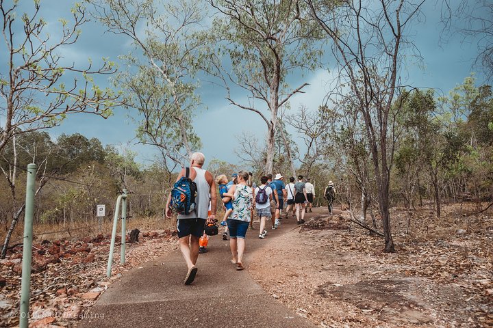 Litchfield National Park Day Tour From Darwin With Waterfalls And Buley Rockhole - thumb 4