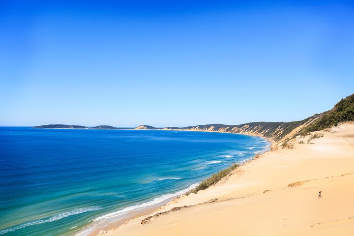 Kayak with Dolphins and 4WD Great Beach Drive Day Trip from Noosa - Accommodation Australia