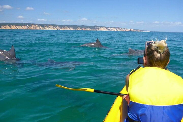 Kayak With Dolphins And 4WD Great Beach Drive Day Trip From Noosa - thumb 1