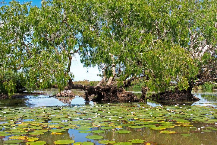 Ethical Adventures - Best In The WET - Litchfield / Kakadu 3 Day- Max 10 Guests - thumb 1