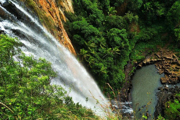 Rainforest & Waterfalls Extravaganza - thumb 1