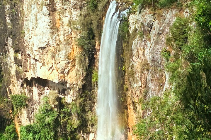 Private Tour - Rainforest  Waterfalls Extravaganza - Mackay Tourism