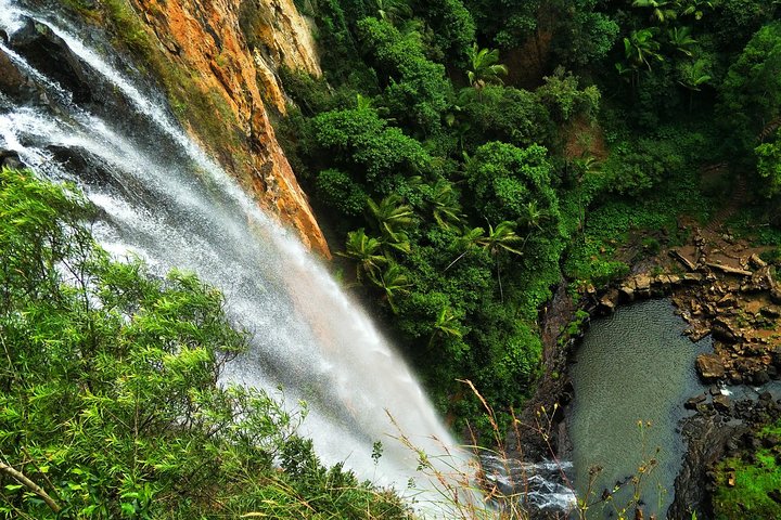 Private Tour - Rainforest & Waterfalls Extravaganza - Accommodation QLD 2