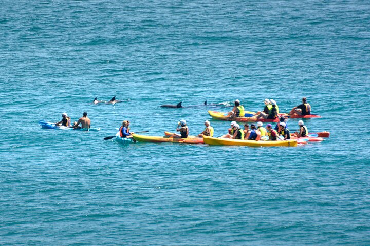 The Byron Bay Sea Kayak Tour - thumb 1