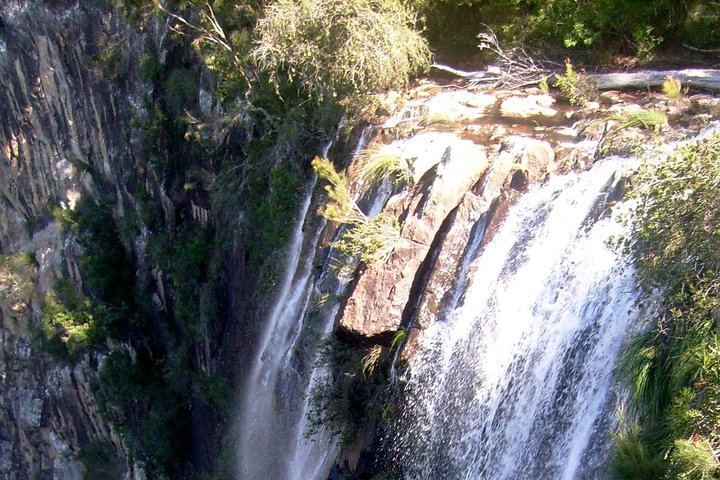 Byron Bay Combo: Hinterland Tour Including Minyon Falls And Kayaking With Dolphins - Lennox Head Accommodation 3