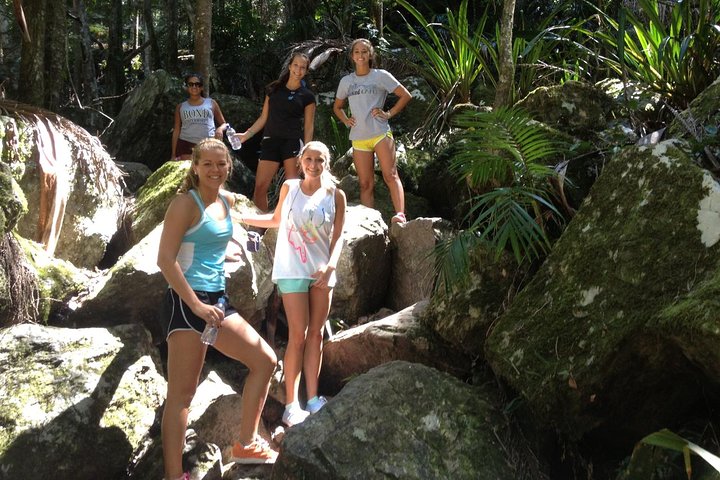 Byron Bay Combo: Hinterland Tour Including Minyon Falls And Kayaking With Dolphins - Lennox Head Accommodation 4