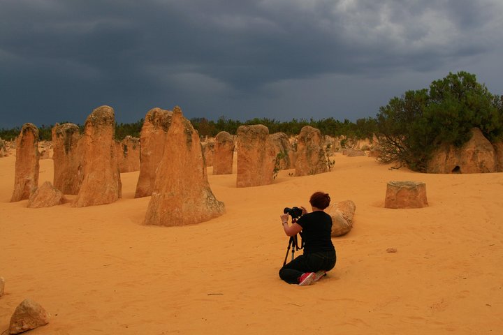 The Pinnacles, Sea And Dunescapes, Bush Reserve And Sunset Day Tour - thumb 2