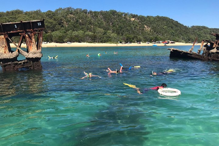 All Inclusive Dolphin and Tangalooma Wrecks Cruise