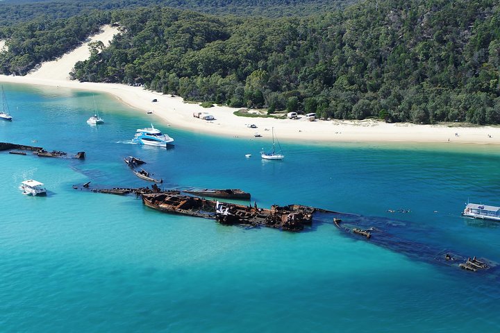 All Inclusive Dolphin And Tangalooma Wrecks Cruise - Bundaberg Accommodation 4
