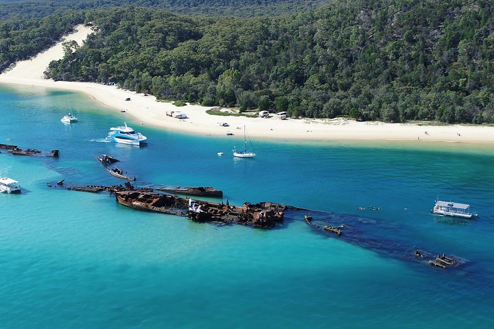 All Inclusive Tangalooma Wrecks Cruise Tour From Gold Coast - thumb 0
