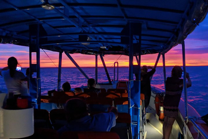 Darwin Sunset Cruise Including Fish 'n' Chips - thumb 1