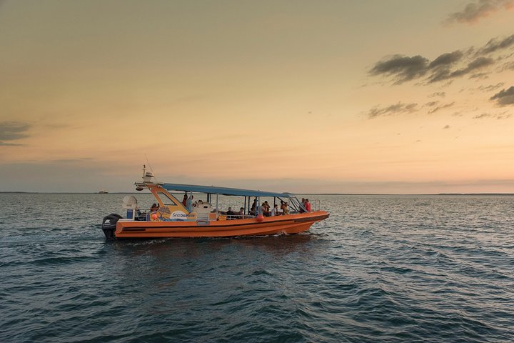 Darwin Sunset Cruise Including Fish 'n' Chips - thumb 4