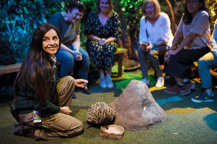 Sydney Taronga Zoo's Australian Animals Tour - Tweed Heads Accommodation