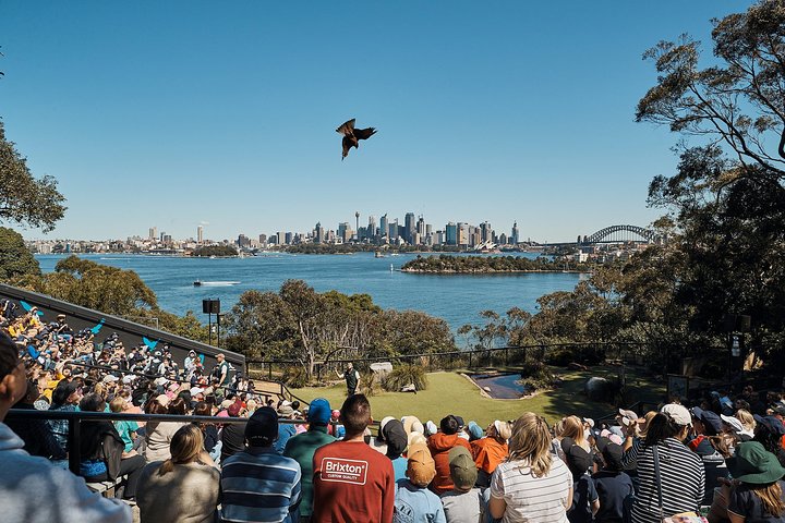 Sydney Taronga Zoo's Australian Animals Tour - Tweed Heads Accommodation 5