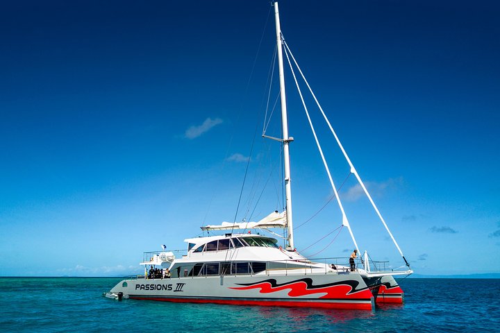 Passions of Paradise Great Barrier Reef Snorkel and Dive Cruise from Cairns by Luxury Catamaran - Accommodation Bookings
