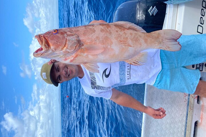 3/4 Day 7 Hour Offshore Fishing Charter - Accommodation Airlie Beach 5