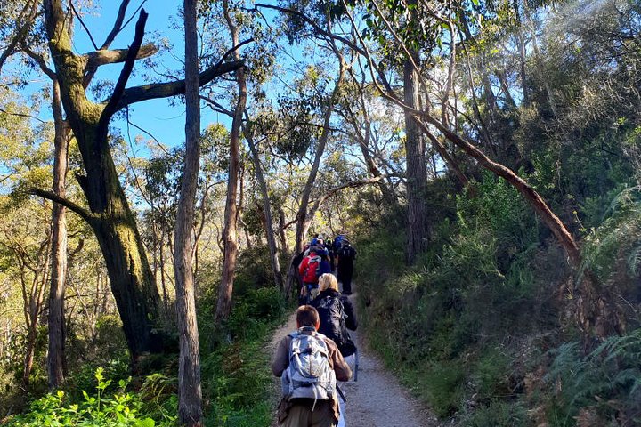 Self-Guided Waterfall Gully To Mount Lofty Hike From Adelaide - thumb 1
