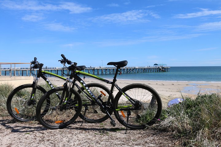 Adelaide City to Sea Bike Tour - Southport Accommodation