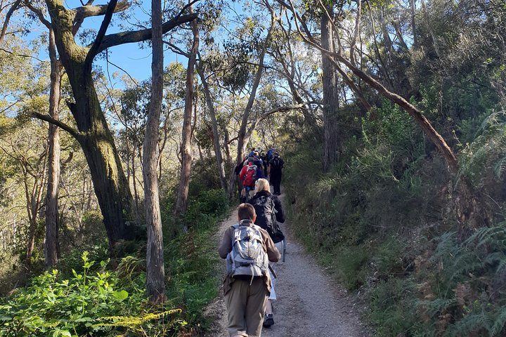 Mount Lofty Hike And Cleland Wildlife Park Day Trip From Adelaide - thumb 3
