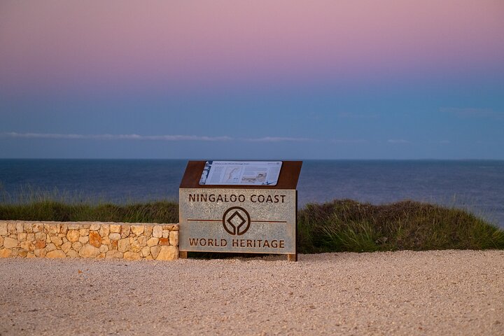 Ningaloo In A Day - Full Day Hike And Snorkel Tour With Lunch - thumb 5