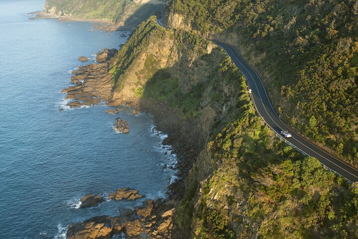 LGBT+ Friendly 2 Day Private Tour Great Ocean Road + Phillip Island - thumb 4