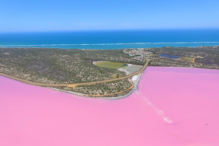 Pink Lake + Abrolhos Islands Nature Tour - Tourism Bookings WA 4
