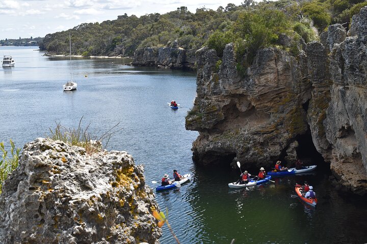 Cliffs And Caves Kayak Tour In Swan River - thumb 5