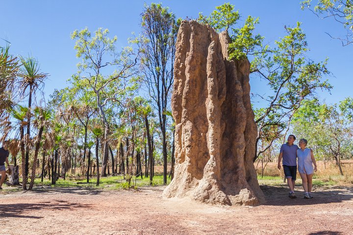 Litchfield National Park Day Tour From Darwin - Accommodation NT 2