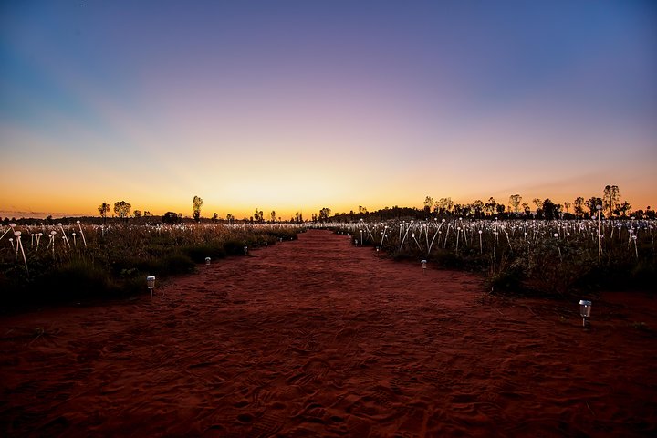 Uluru (Ayers Rock) Field Of Light Sunrise Tour - thumb 3