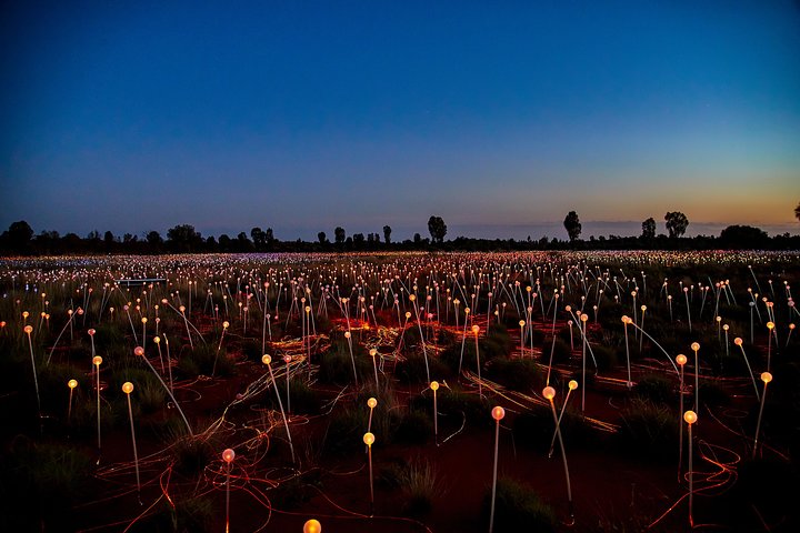 Uluru (Ayers Rock) Field Of Light Sunrise Tour - thumb 4