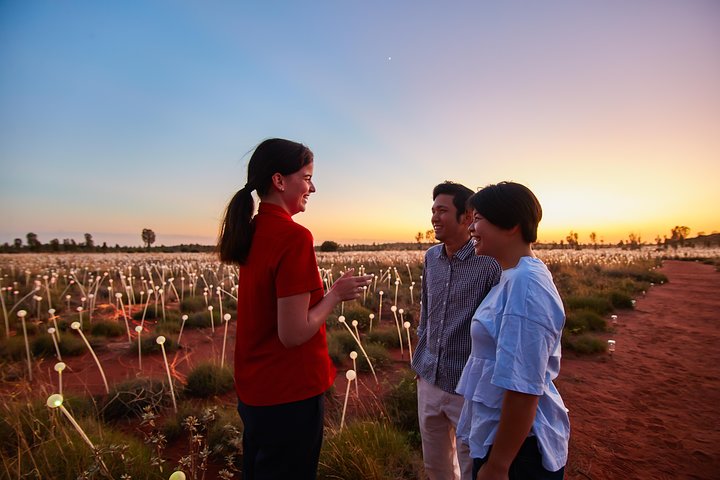 Uluru (Ayers Rock) Field Of Light Sunrise Tour - thumb 5