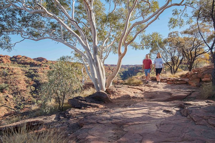 3-Day Tour From Uluru (Ayers Rock) To Alice Springs Via Kings Canyon - thumb 1