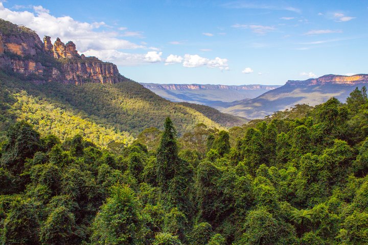 Blue Mountains Nature And Wildlife Day Tour From Sydney - Coogee Beach Accommodation 1
