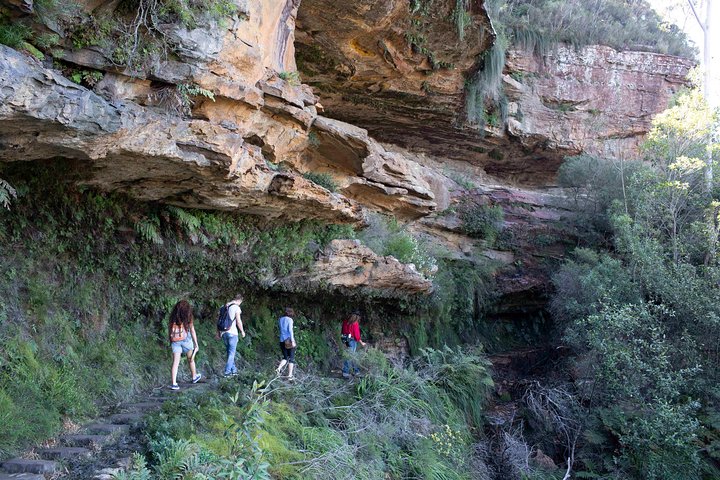 Blue Mountains Nature And Wildlife Day Tour From Sydney - Coogee Beach Accommodation 2