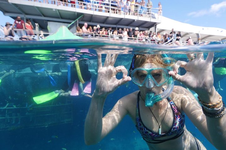 Great Barrier Reef Day Cruise from Cairns Including Snorkeling and Marine Biologist Presentation - Brisbane Tourism