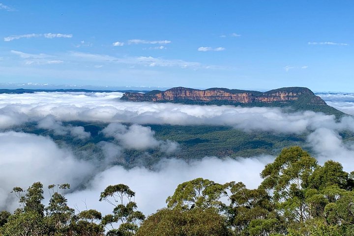 Small-Group Blue Mountains Tour With A Local Guide - Accommodation Australia 4